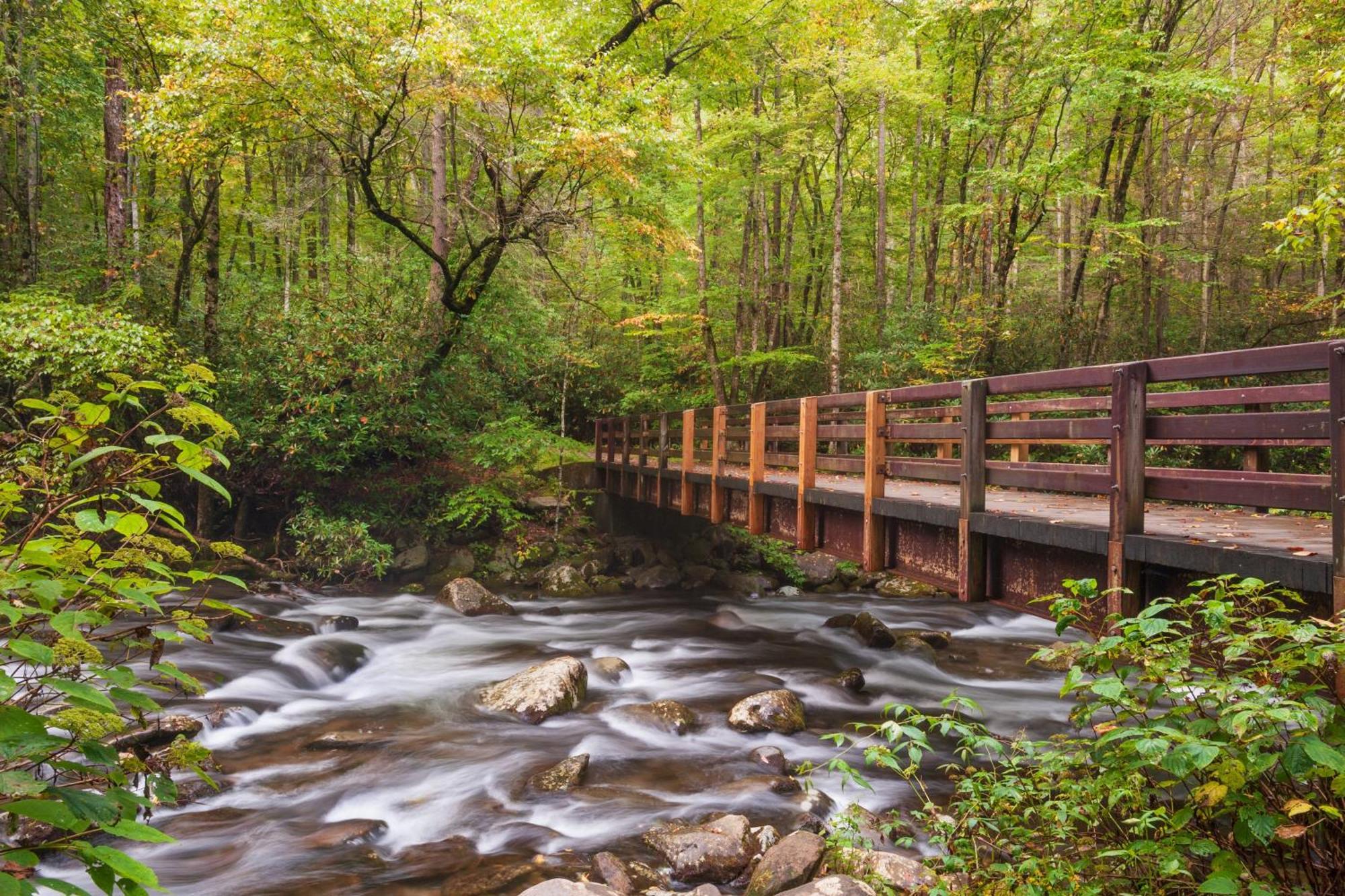 Tranquility Hollow, Indoor Pool, Game Room, 1089 Free Tickets Each Paid Day, Dollywood And More! Sevierville Esterno foto